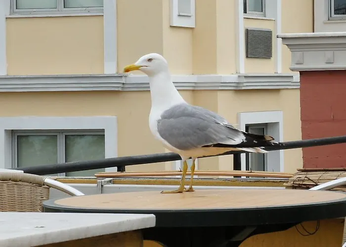 Szálloda Dom Isztambul